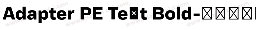 Adapter PE Text Bold字体转换
